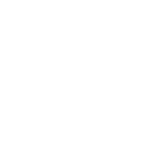 white circle